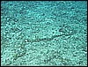 M0010086.JPG