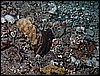 M0010096.JPG