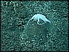 M0010104.JPG