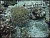 M0010107.JPG