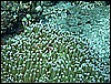M0010110.JPG