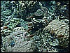 M0010117.JPG