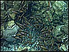 M0010118.JPG
