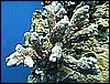 M0010148.JPG