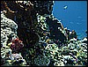 M0010149.JPG