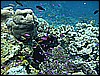 M0010150.JPG