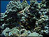 M0010162.JPG