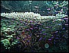 M0010179.JPG