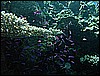 M0010180.JPG