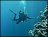 M0010190.JPG