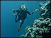 M0010191.JPG