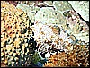 M0010195.JPG