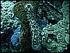 M0010199.JPG