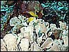 M0010229.JPG