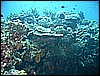 M0010231.JPG