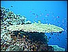 M0010237.JPG