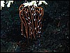M0010243.JPG