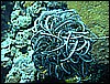 M0010248.JPG
