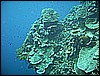 M0010249.JPG