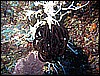 M0010250.JPG