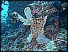 M0010256.JPG