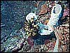 M0010257.JPG