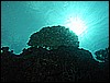 M0010259.JPG