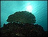 M0010260.JPG