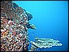 M0010268.JPG