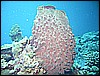M0010287.JPG