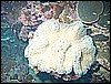 M0010293.JPG
