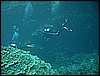 M0010304.JPG