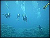 M0010320.JPG