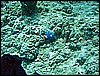 M0010358.JPG