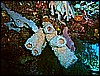 M0010363.JPG