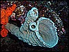 M0010364.JPG