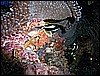 M0010367.JPG