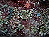 M0010368.JPG