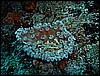 M0010370.JPG