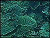 M0010379.JPG