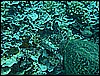 M0010381.JPG