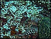 M0010383.JPG