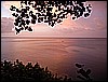M0010409.JPG