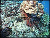 M0010478.JPG