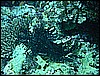 M0010480.JPG