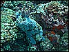 M0010485.JPG