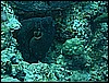 M0010495.JPG