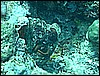 M0010496.JPG