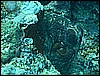 M0010497.JPG