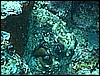 M0010498.JPG